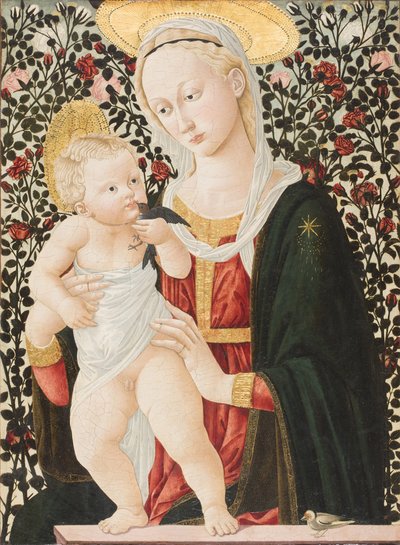 Madonna of the Roses, c.1485-90 by Pier Francesco Fiorentino